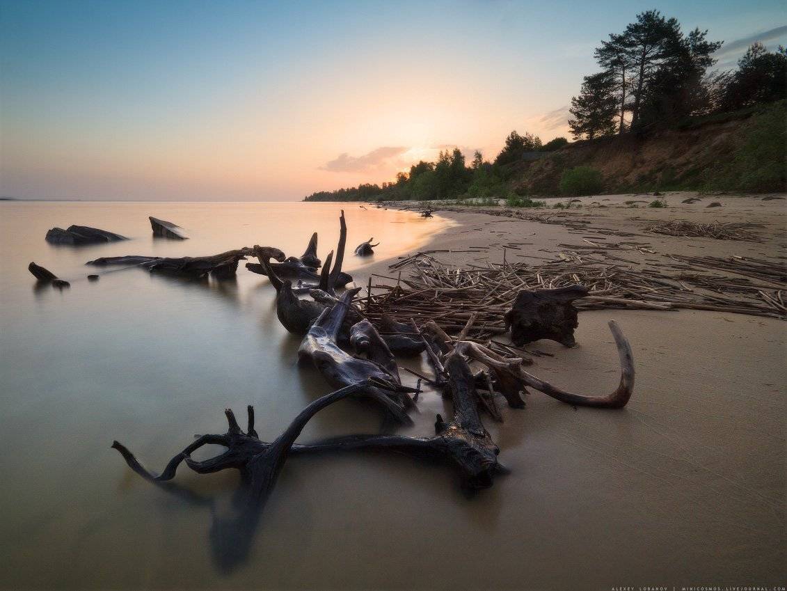 Рыбинское, Ярославская область, Алексей Лобанов