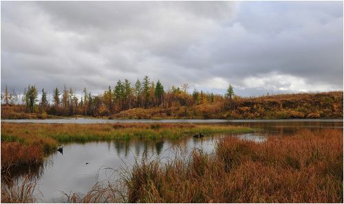 В осенних красках купаясь