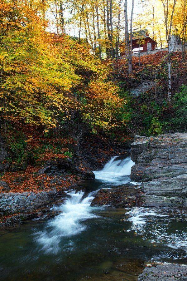 , Ярослав Тюрменко (Jaremi)