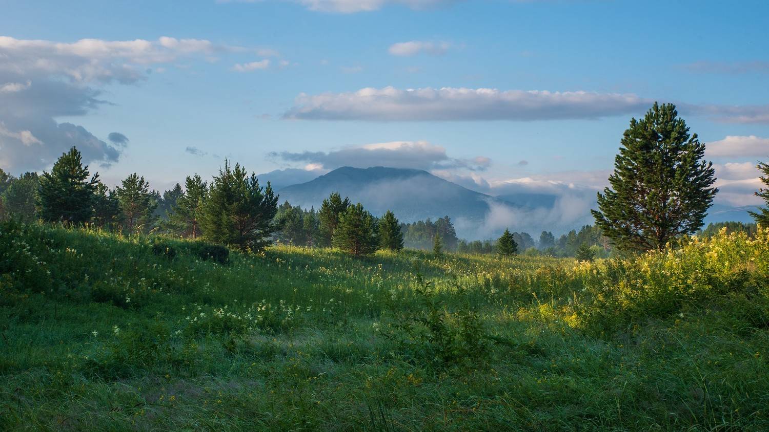 луг туман утро горы трава зелень роса, Юрий Мальцев