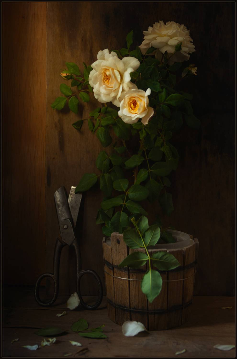 , Хромеев Александр