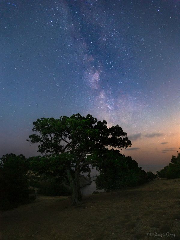 Под светом Млечного пути фото превью