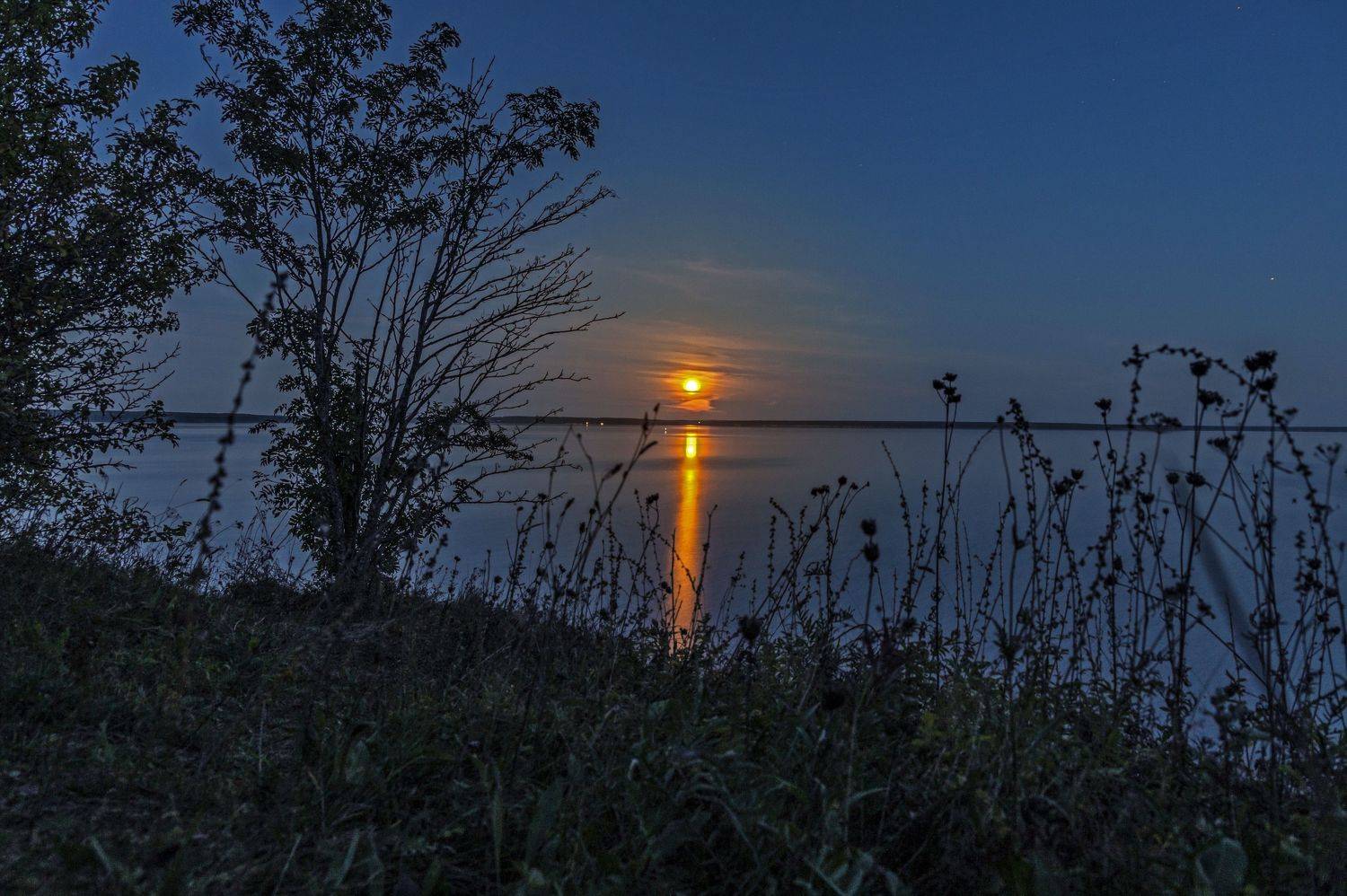 ночь, Шитов Александр