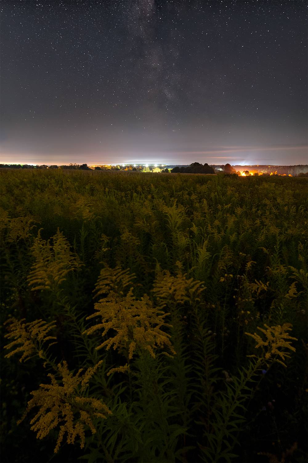 , Стрельцов Виталий