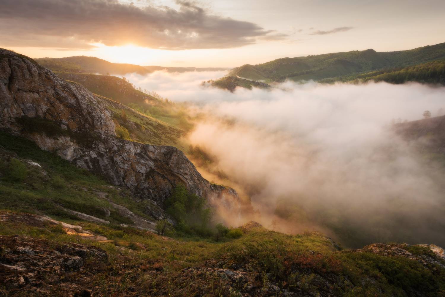 , Алексей Проняхин