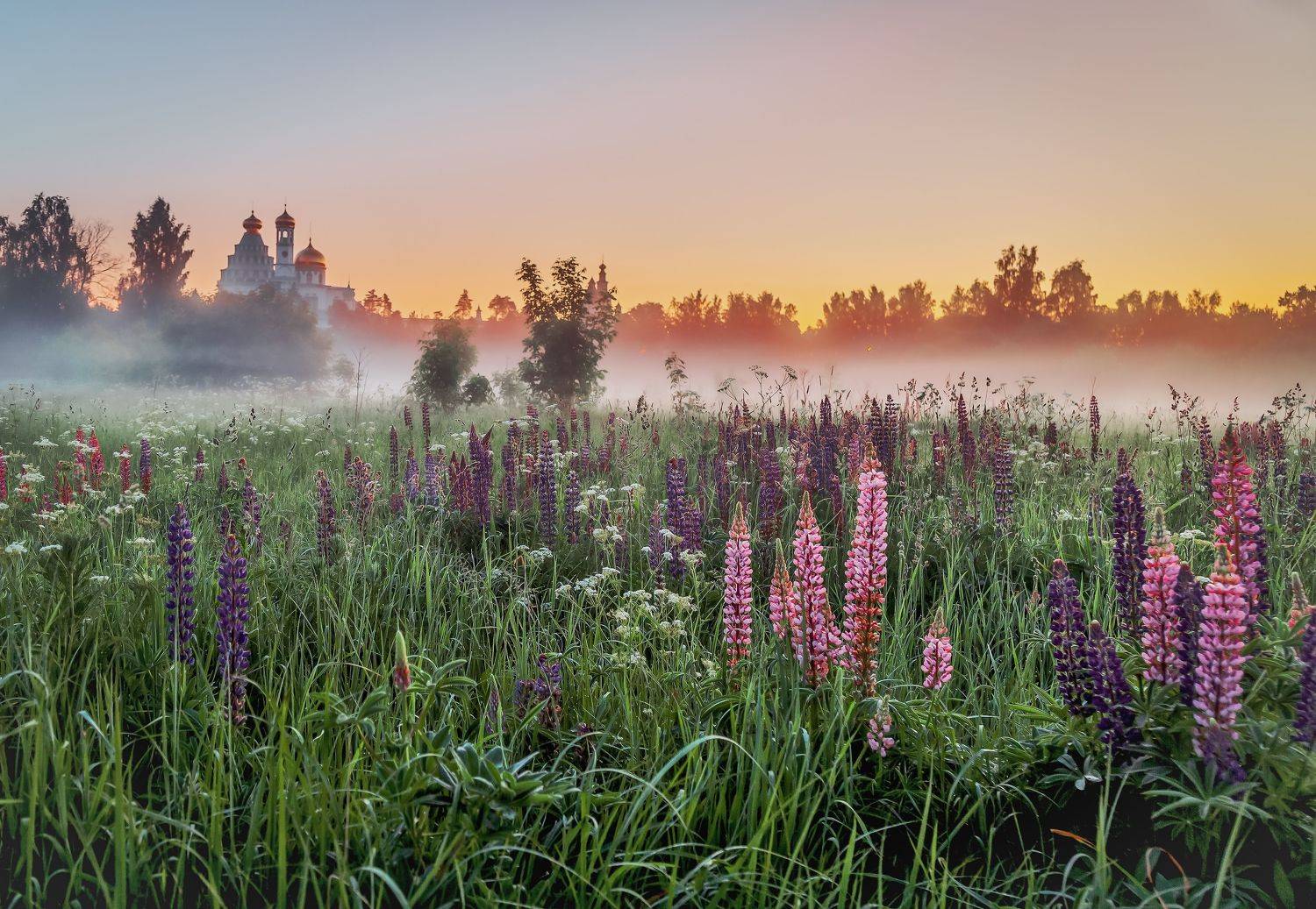 новый иерусалим.истра., Бирюков Вячеслав