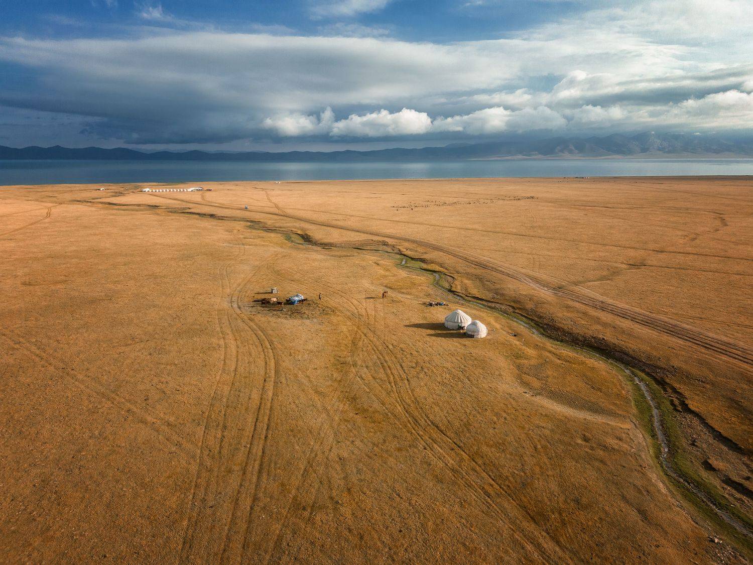, Марина Сорокина