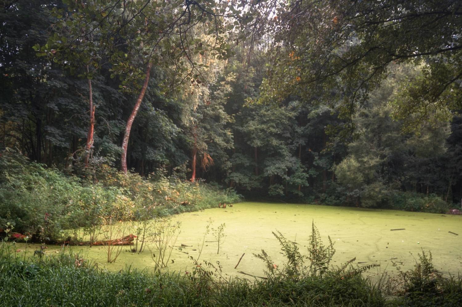 , Котов Андрей