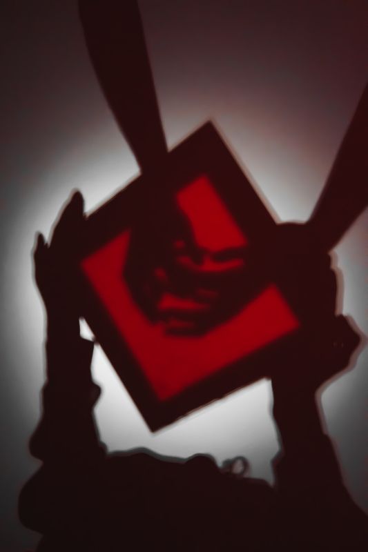 Red Shadow фото превью