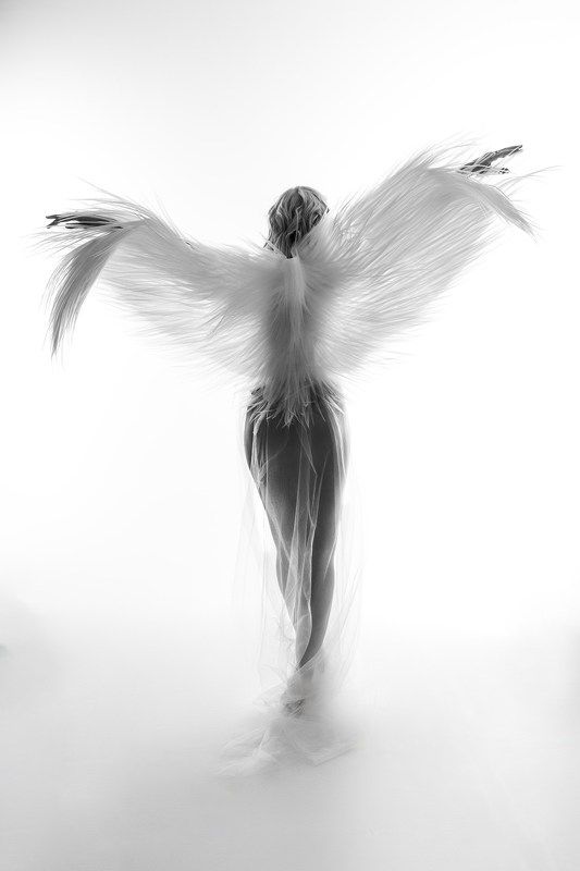 Angel фото превью