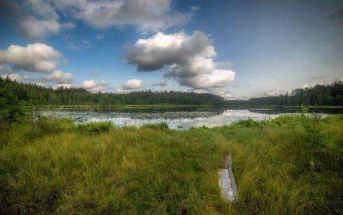 Лесное озеро