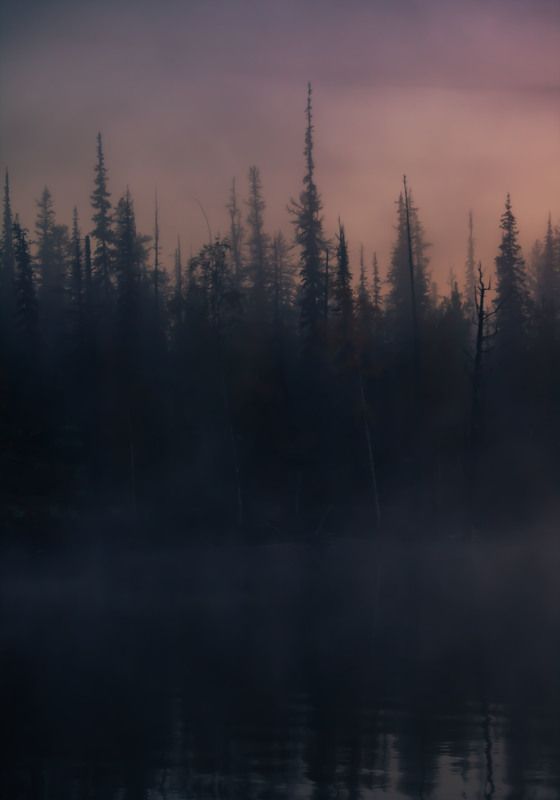 плато путорана, пейзаж, тайга, туман, утро Арктические сумерки фото превью