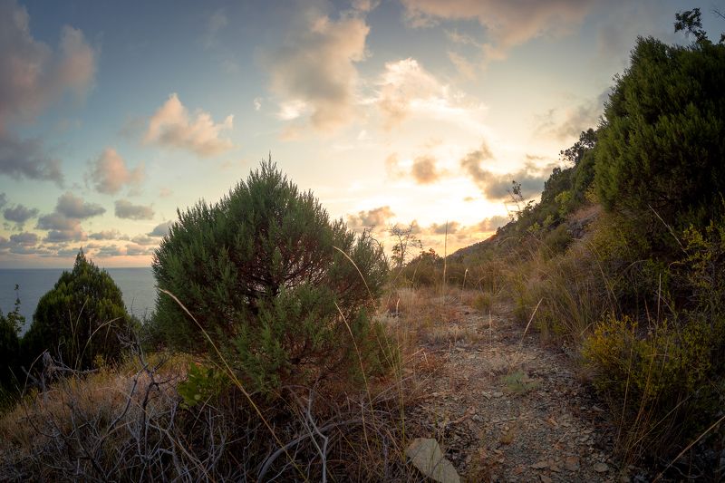 Тропинка фото превью