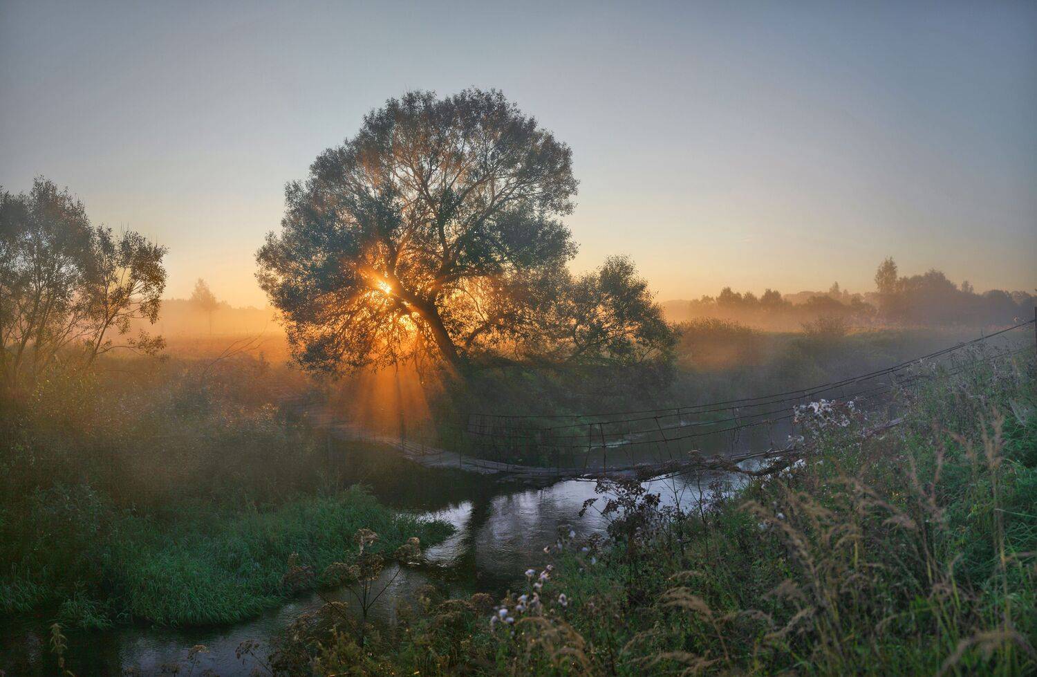 утро, рассвет , река , мостик, Александр Свистков