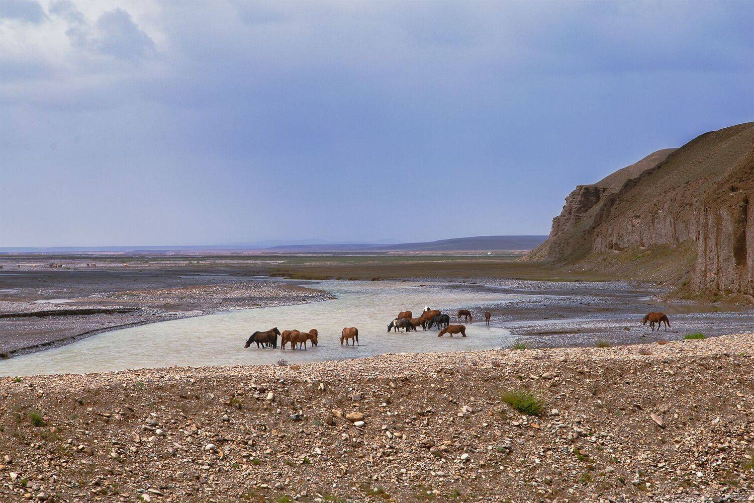 кыргызстан, ак-сай, Элина Магалимова