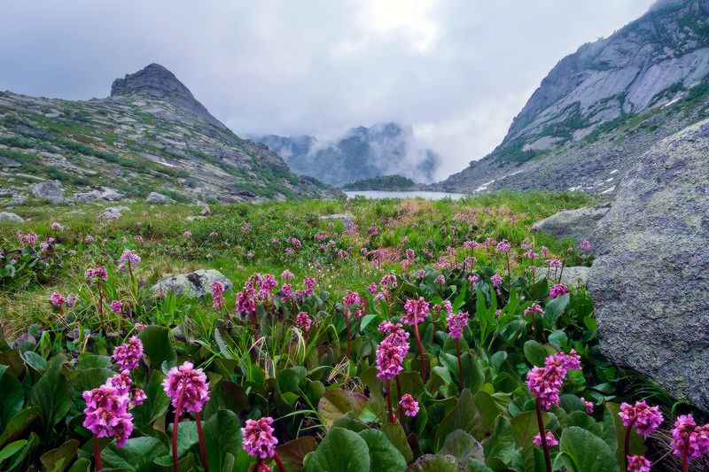 пейзаж с баданом фото превью