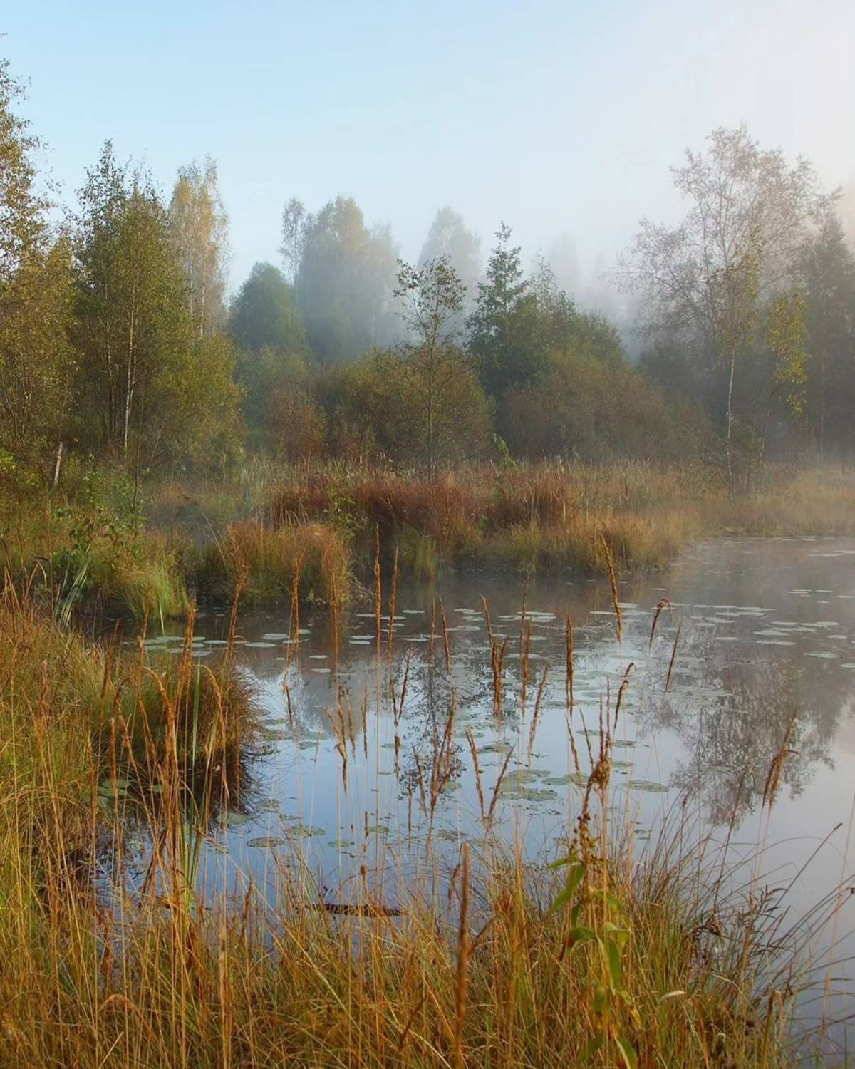 , Петр Косых