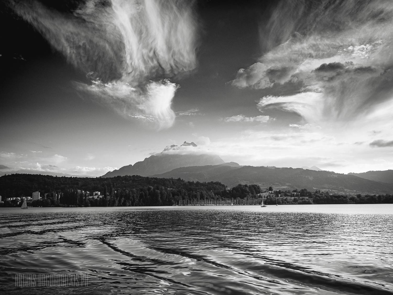 , Богородицкий Артур