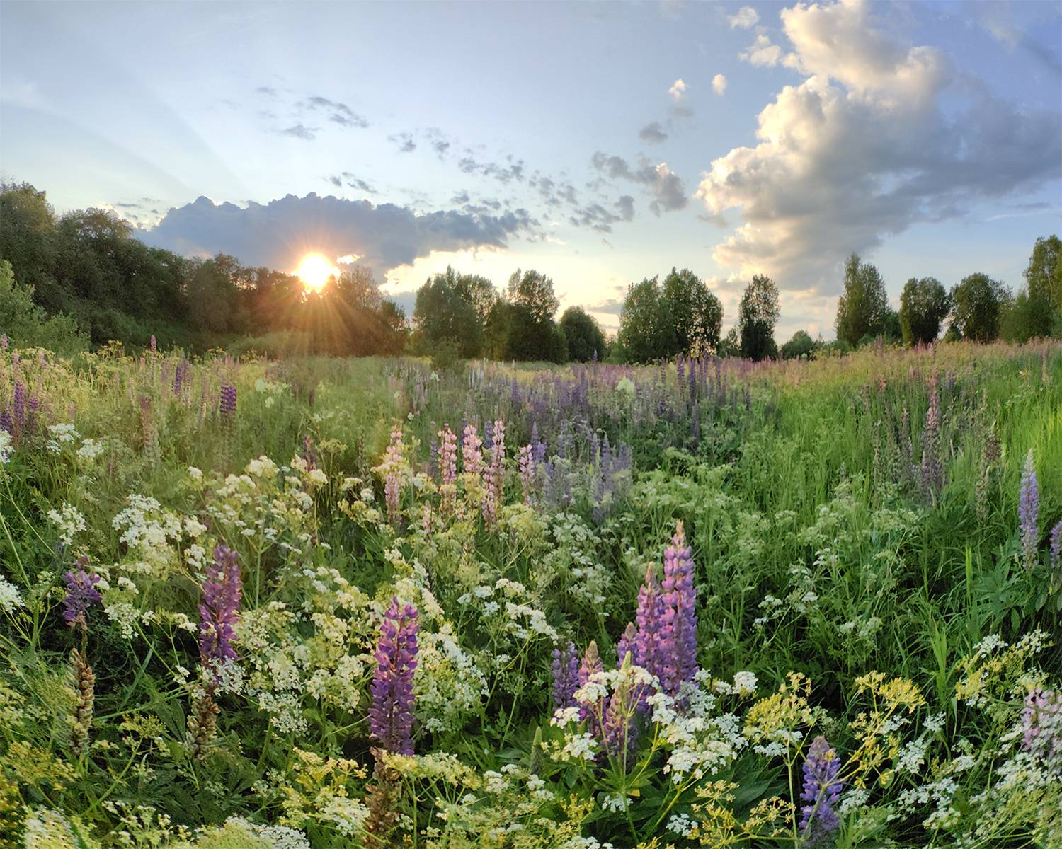 , Логвинович Андрей