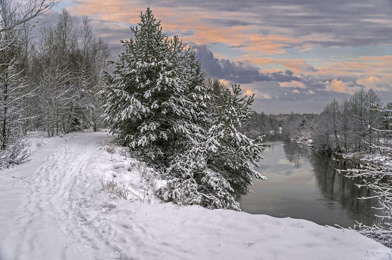 Морозное утро. фото превью