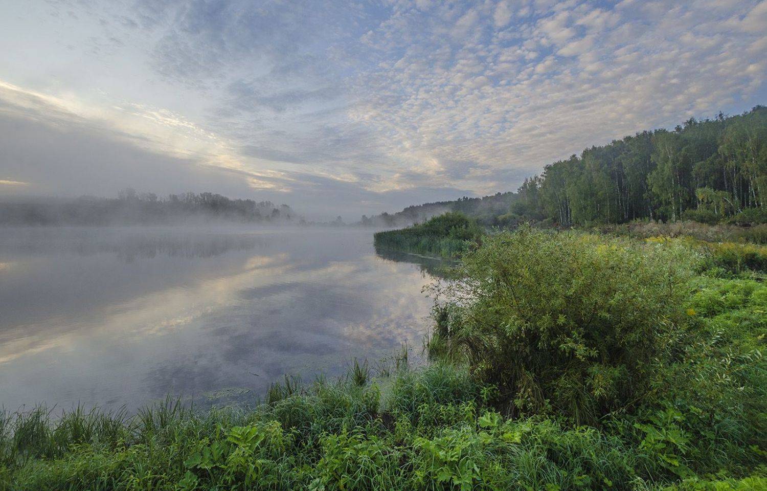 осень, сентябрь, утро,  архангельское, Михаил Агеев