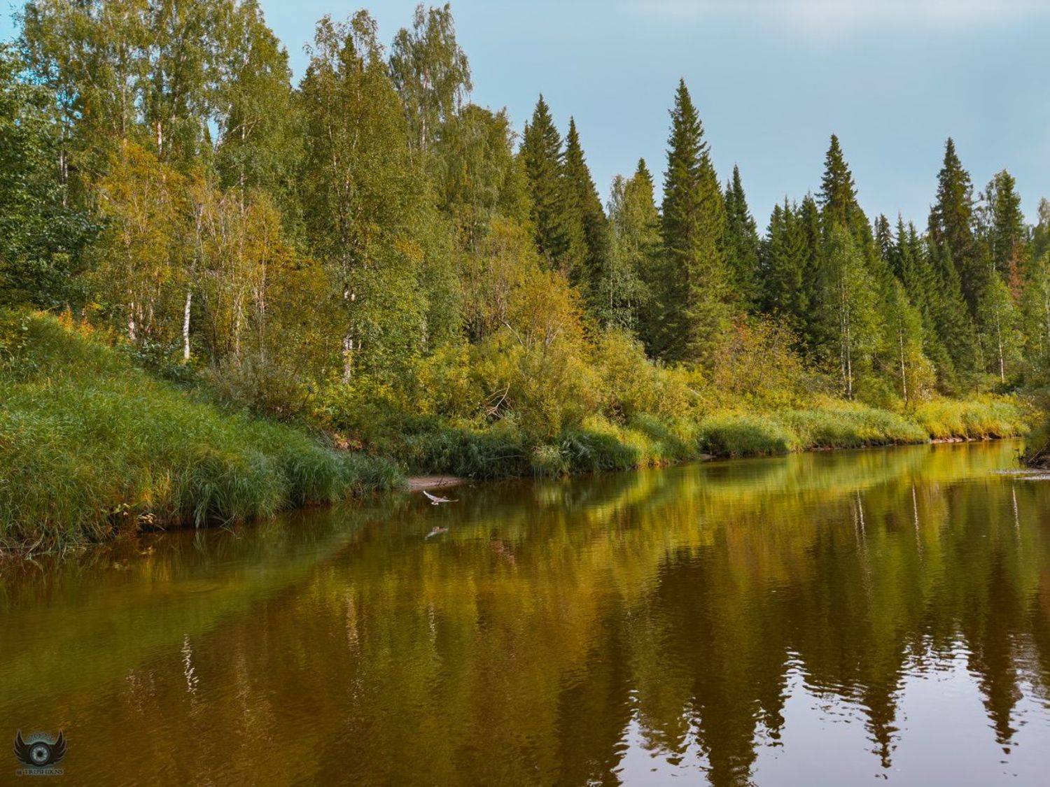 , Vladislav Trushkov