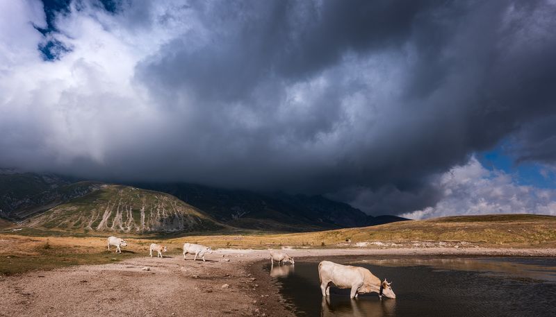 Где-то в горах фото превью