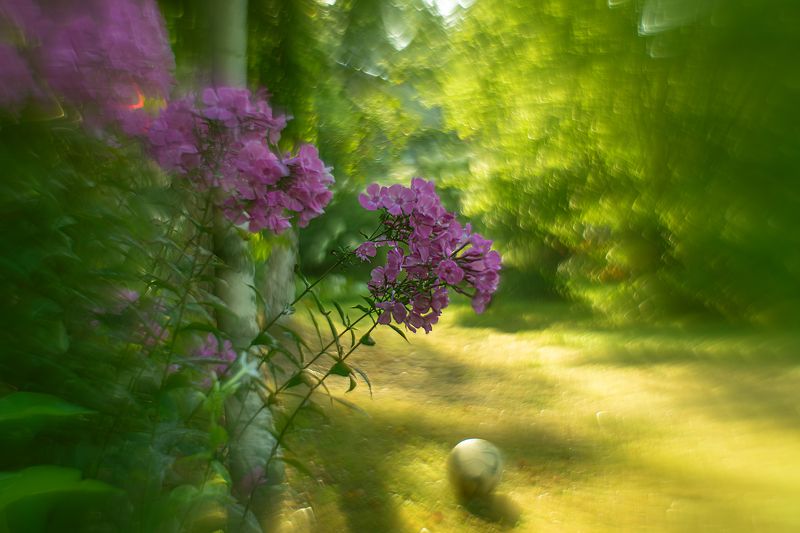... фото превью