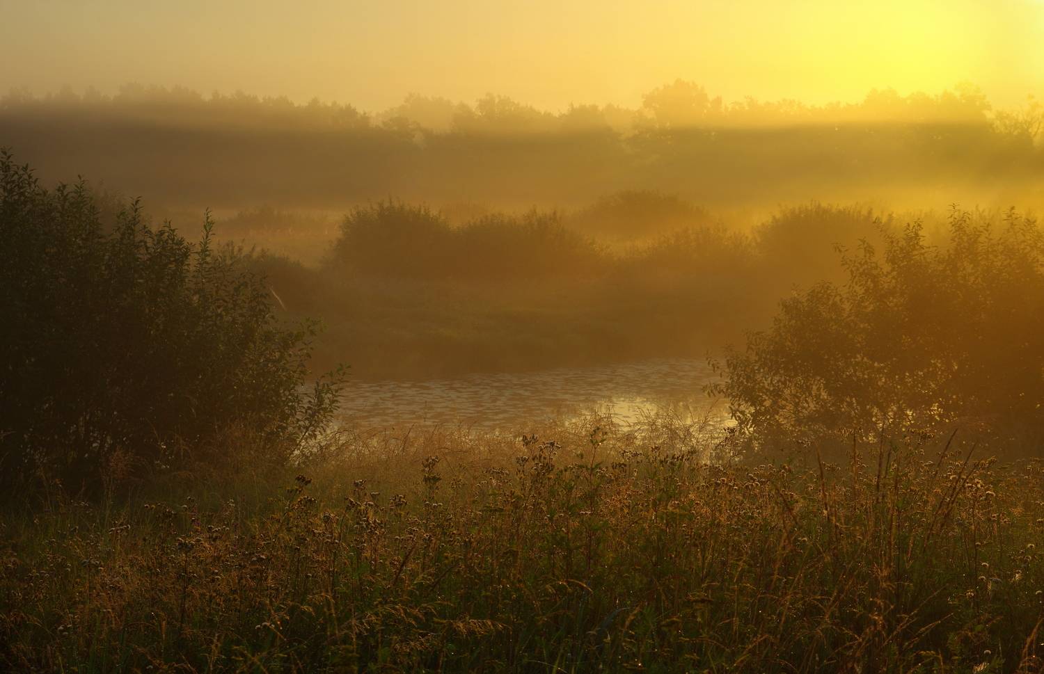 , Сергей Шляга