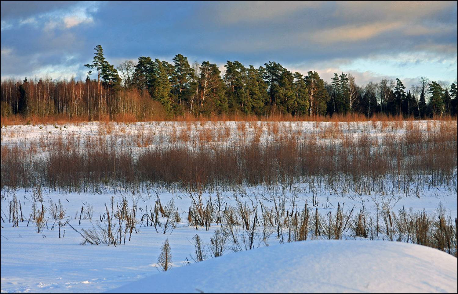 сальково, Тарасов Алексей