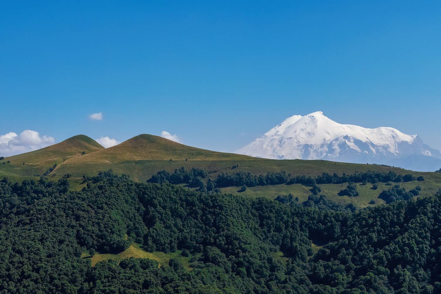 , Алиева Татьяна