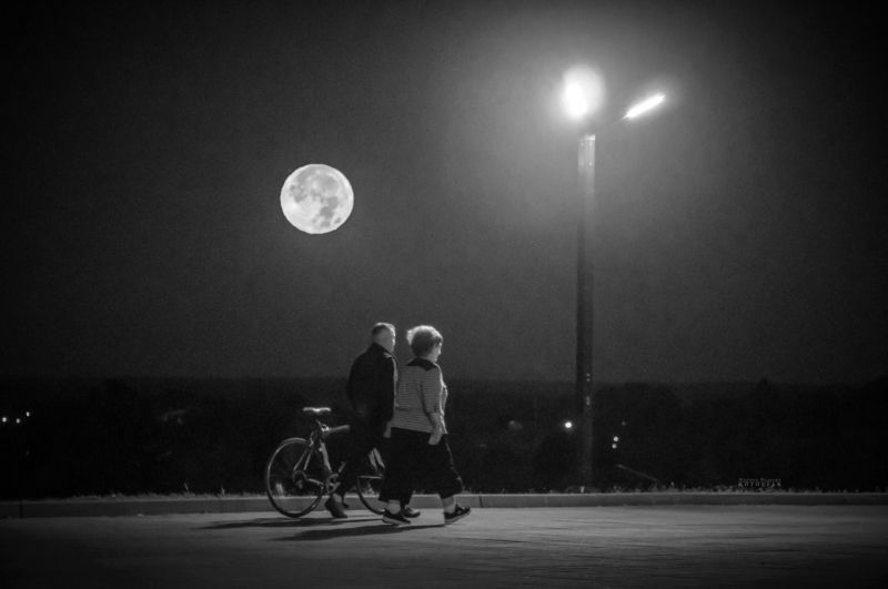 полнолуние, прогулка, парк, жанр, чёрно-белое Прогулка в полнолуние фото превью