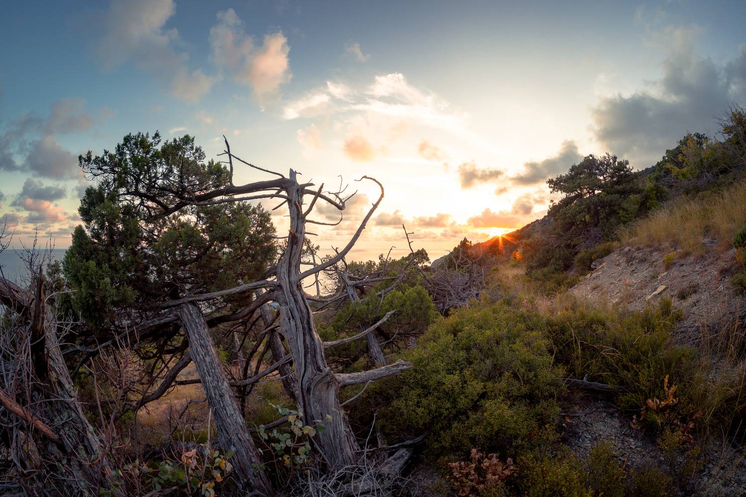 , Вадим Коваленко