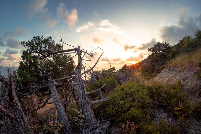 Тропинка к солнцу фото превью