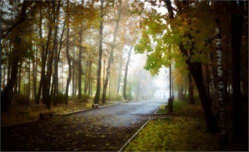 Ранняя осень Александровского Сада