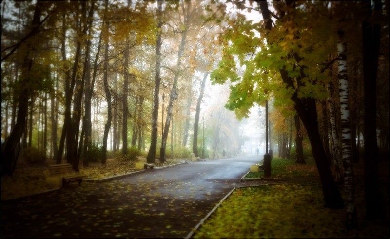 город, осень, ранняя, александровский, сад, аллея, утро Ранняя осень Александровского Сада фото превью