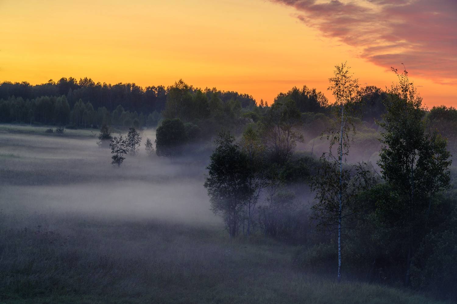 , Бабурин Олег
