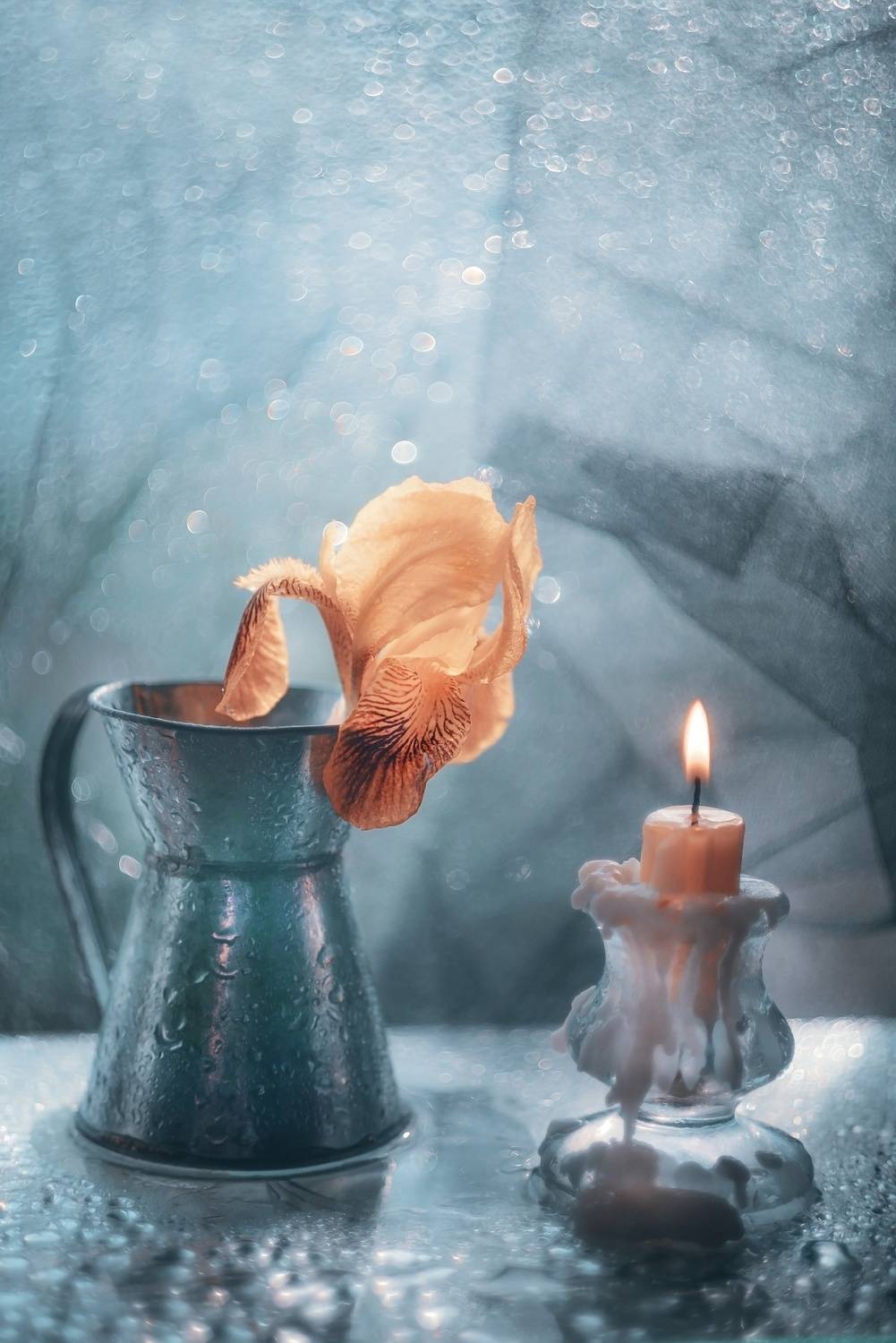 , Лапшина Владлена