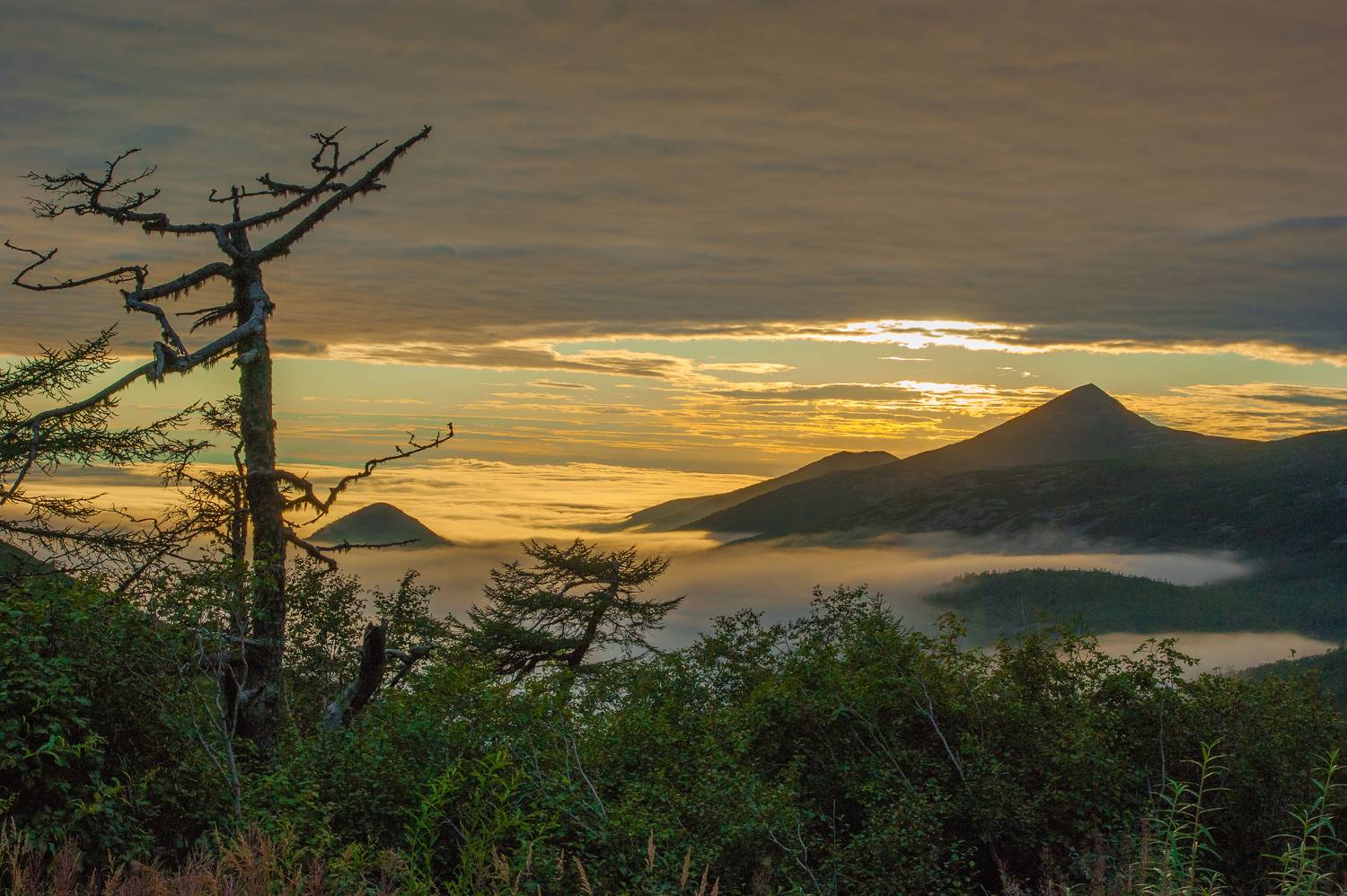 , Андрей Загребельный