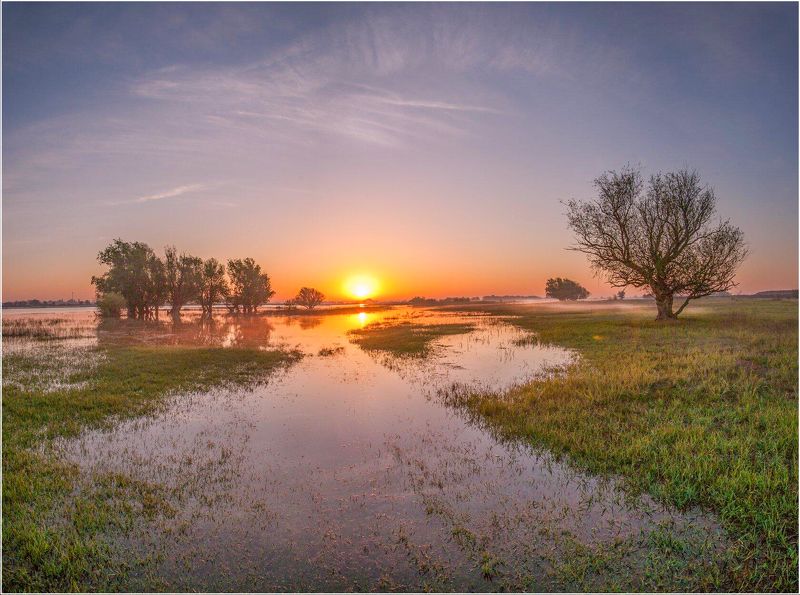 у села  камышово УТРО (половодье) фото превью