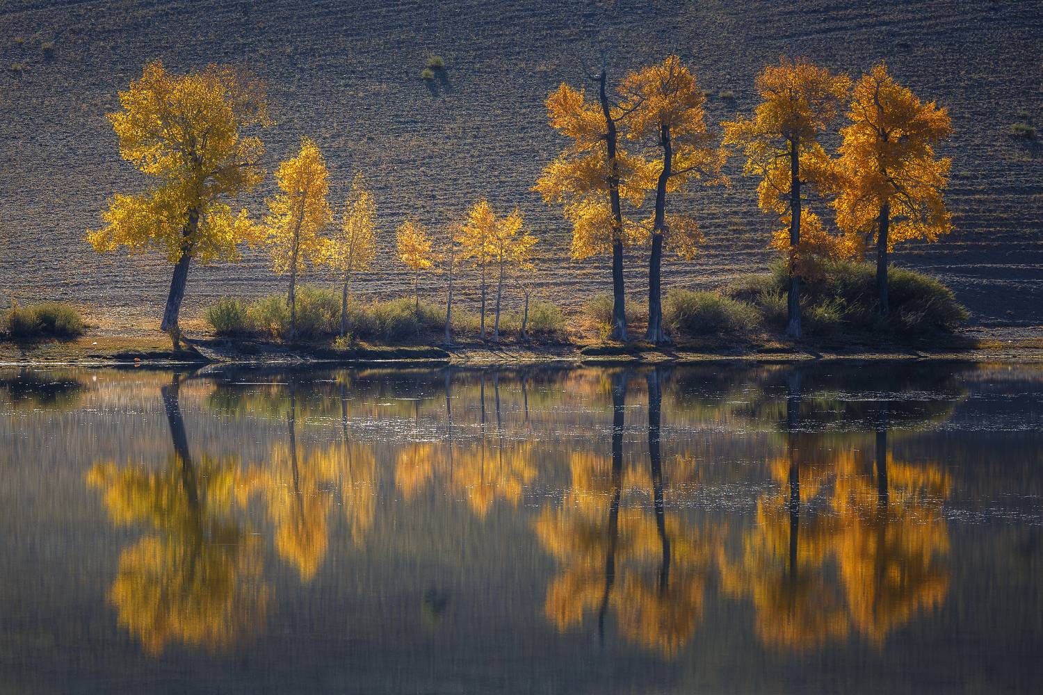 алтай, республика алтай, Александр Писарев