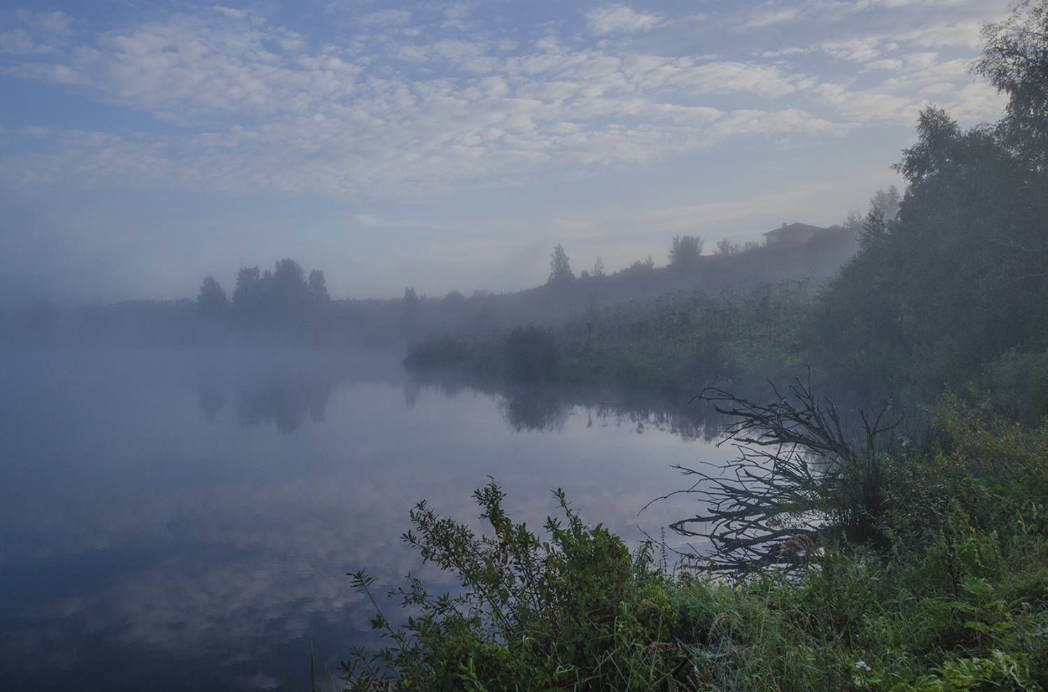 утро, осень, сентябрь, архангельское, Михаил Агеев