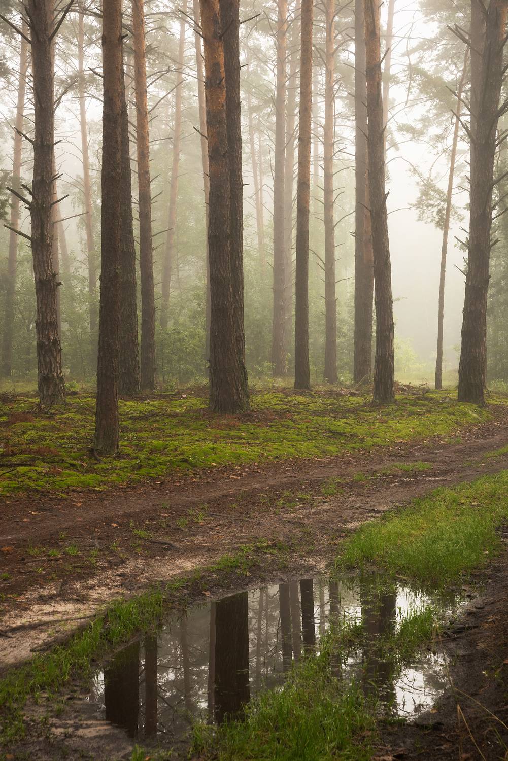 , Захаров Дмитрий