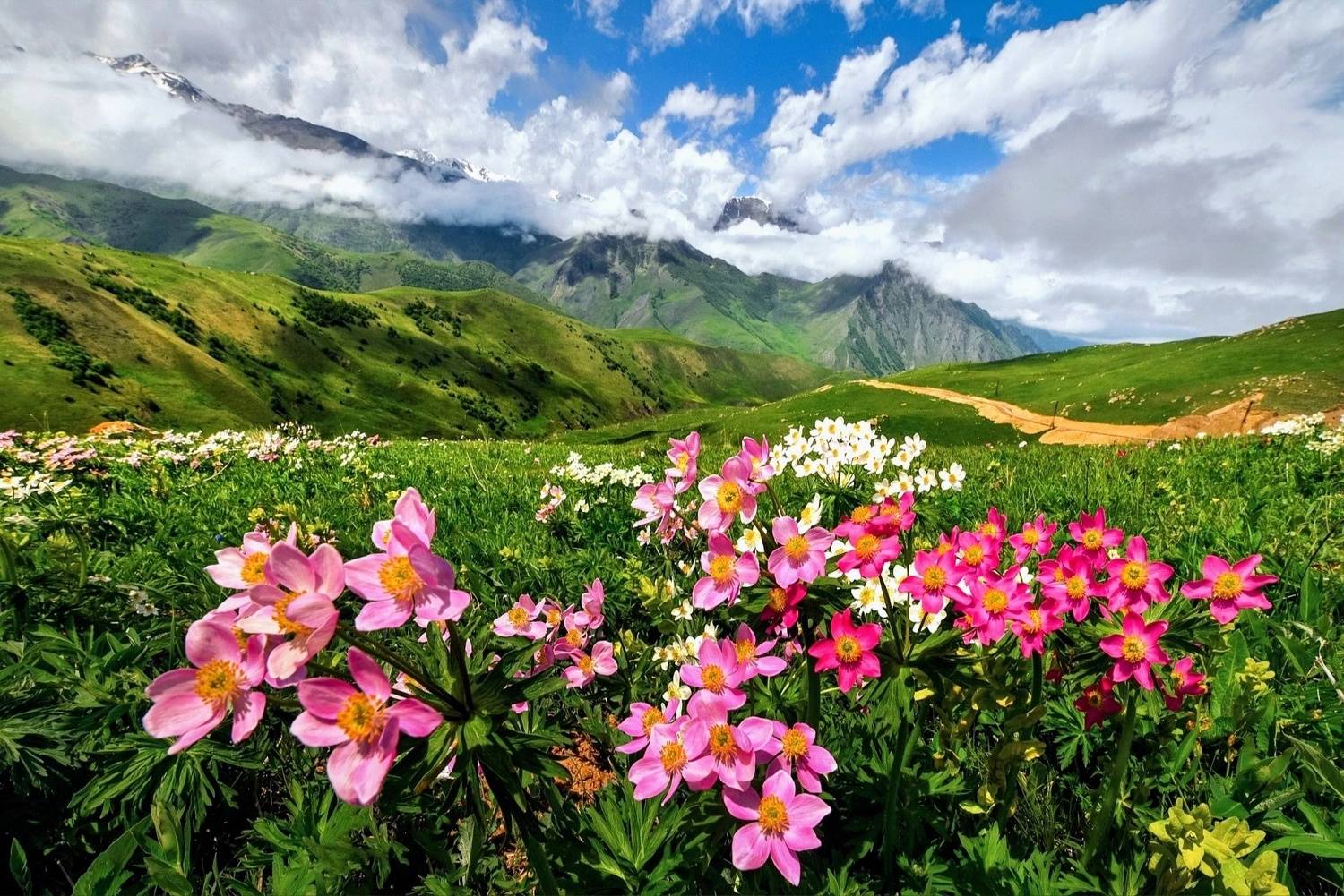 , Лесина Елена