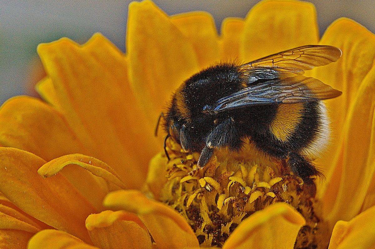 , Николаев Владимир