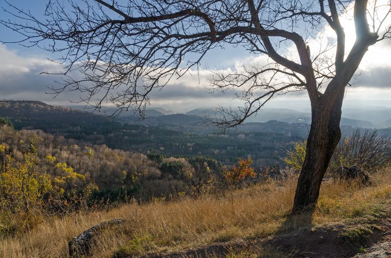 В последний месяц осени фото превью