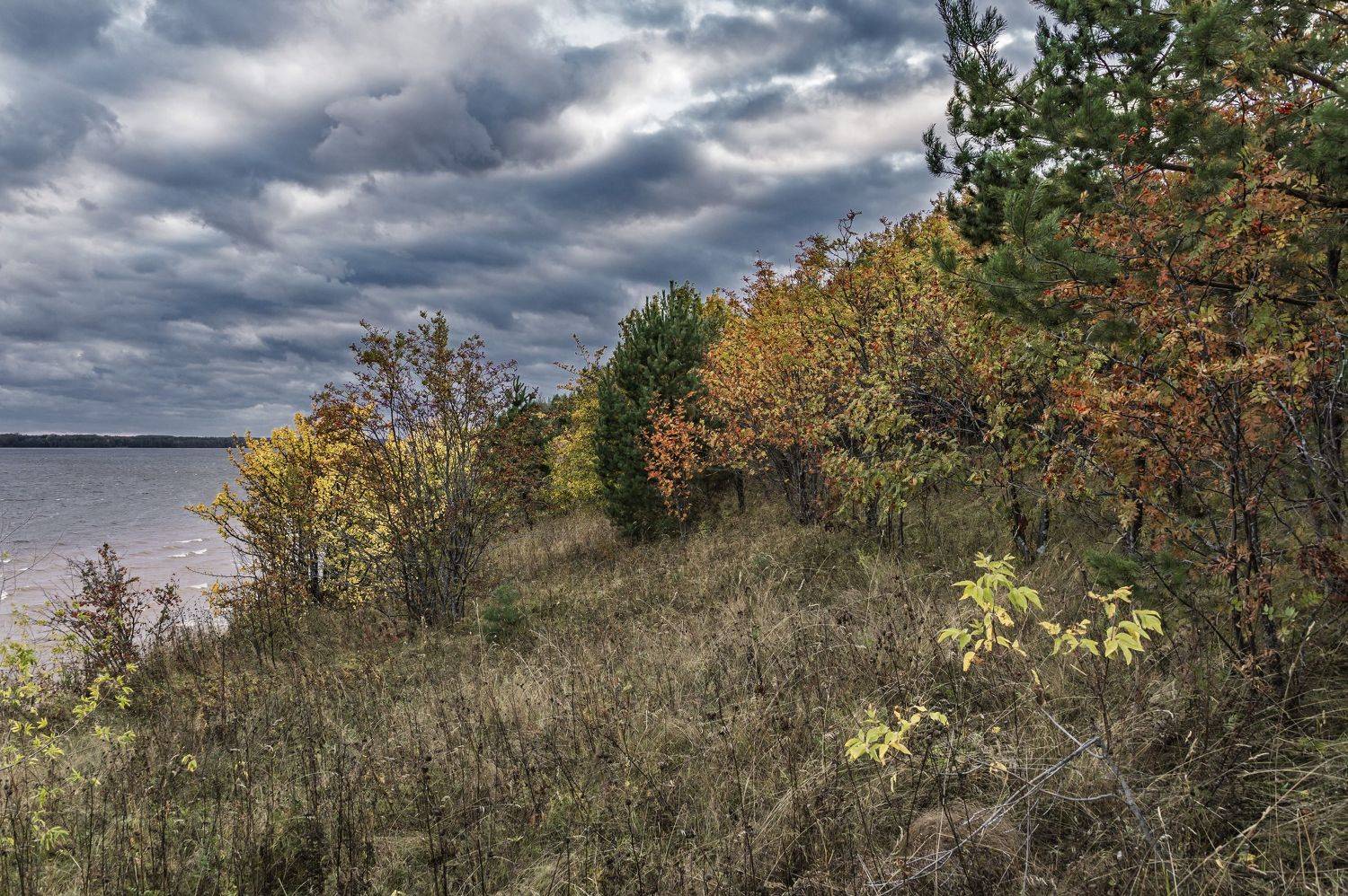 оснеь, Шитов Александр