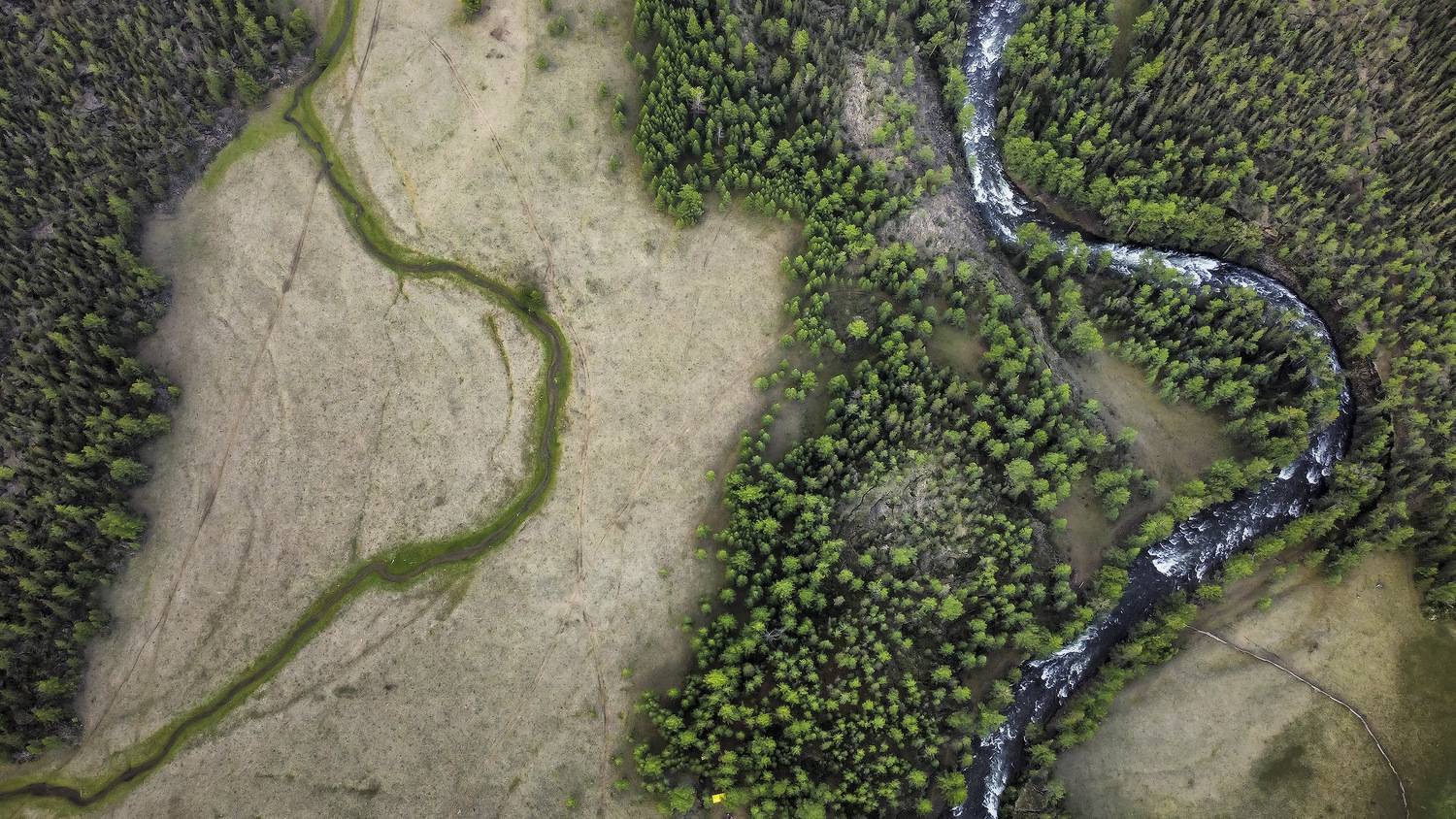 , Пирог Борис