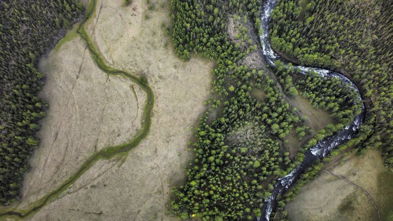 Два русла одной реки фото превью