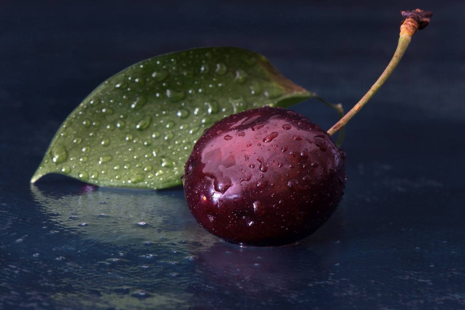 , Людмила Бекман